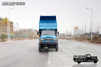 170 cavalos de potência DF caminhão basculante off-road 4 × 4_ tração nas quatro rodas dianteira 2,5 toneladas traseira caminhão basculante especial de 8 toneladas_ veículo de engenharia de elevação hidráulica personalizado com tração nas quatro rodas