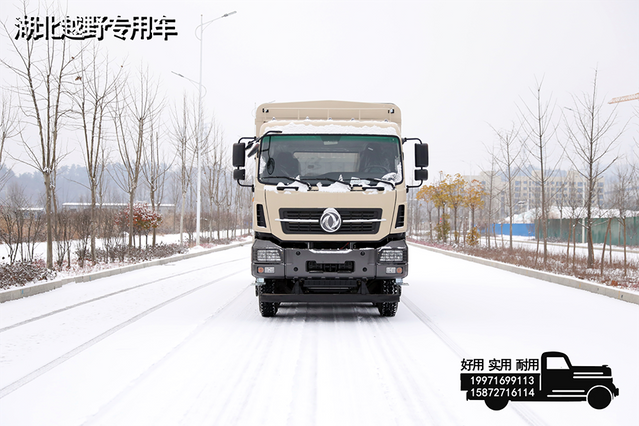 DFcaminhão de transporte off-road tipo armazém 8 × 8_caminhão de transporte de quatro eixos de madeira, frutas e vegetais com tração de oito rodas de 31 toneladas_caminhão especial traseiro de oito rodas com 450 cavalos de potência